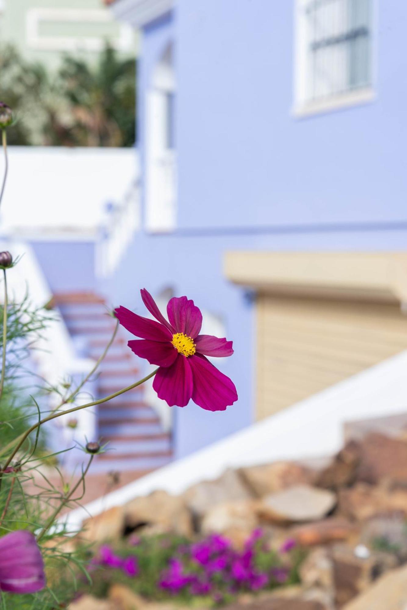 Vila Casa Margarita La Línea de la Concepción Exteriér fotografie